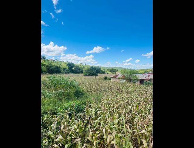 4,500M² VACANT LAND FOR SALE IN NGOVHELA